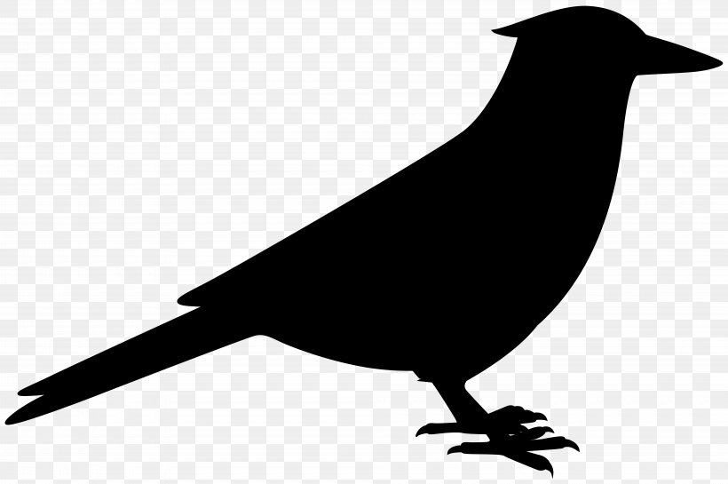 American Crow Fauna Common Raven Silhouette, PNG, 8000x5325px, American Crow, Beak, Bird, Common Raven, Crow Download Free