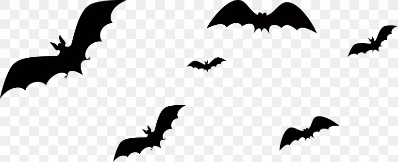 Bat Halloween, PNG, 2178x888px, Bat, Beak, Bird, Black And White, Fauna Download Free