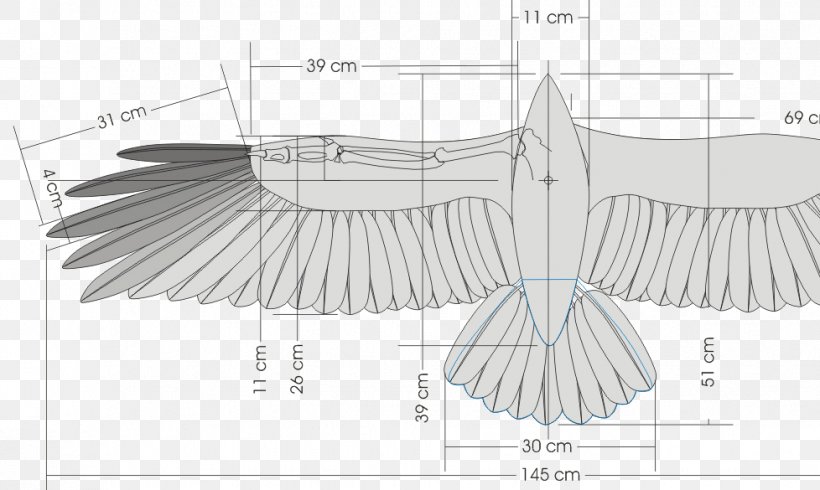 Bird Wing Glider Dihedral Flight, PNG, 978x585px, Bird, Air Sports, Artwork, Black And White, Canard Download Free