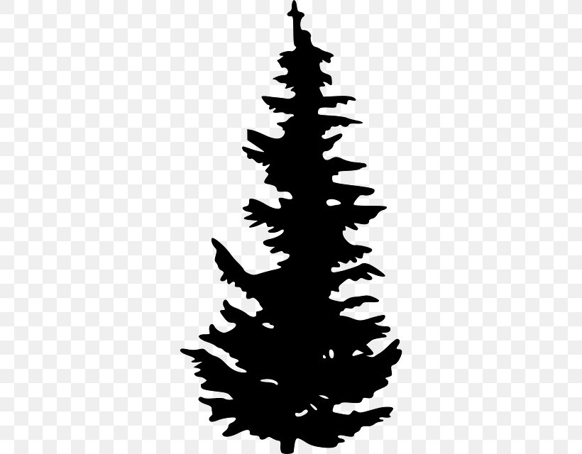 Evergreen Tree Pine Clip Art, PNG, 640x640px, Evergreen, Black And White, Christmas Decoration, Christmas Ornament, Christmas Tree Download Free