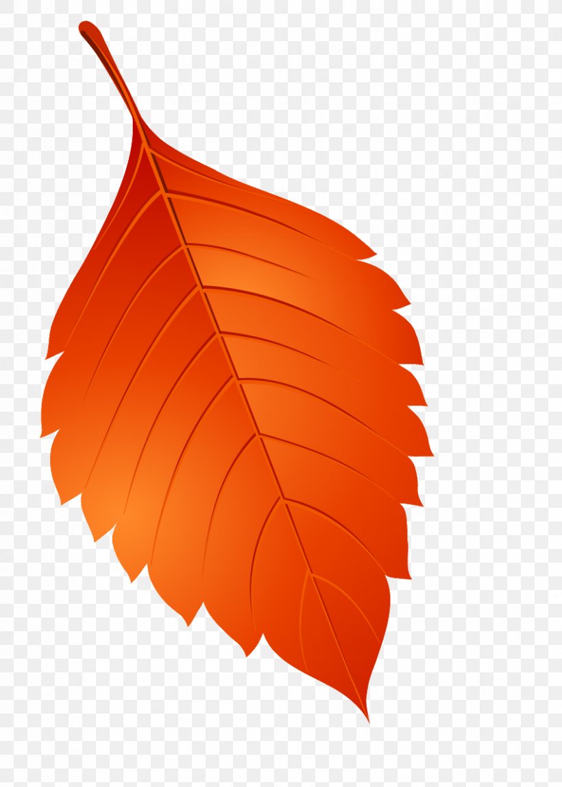 Leaf Clip Art, PNG, 851x1191px, Leaf, Autumn, Leaflet, Orange, Plant Download Free
