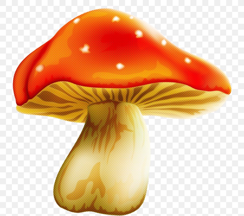Orange, PNG, 800x727px, Mushroom, Edible Mushroom, Fungus, Orange Download Free