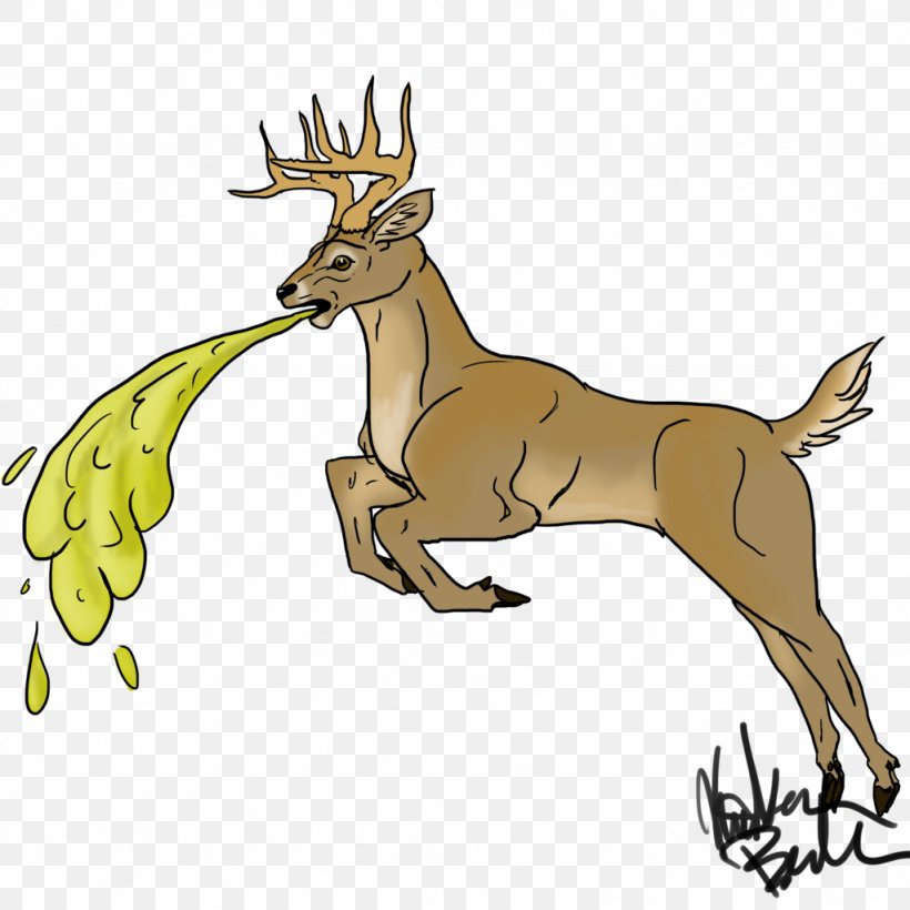 Reindeer Elk Whitetailed Deer Coffee Ground Vomiting, PNG, 1024x1024px