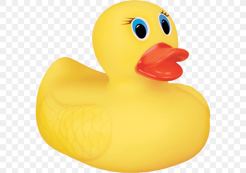 Rubber Duck Bathtub Infant Bathing, PNG, 583x576px, Duck, Bathing, Bathroom, Bathtub, Beak Download Free
