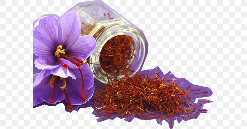 Saffron Autumn Crocus Flower Spice Golden Milk, PNG, 600x430px, Saffron, Autumn Crocus, Crocus, Cuisine, Dish Download Free