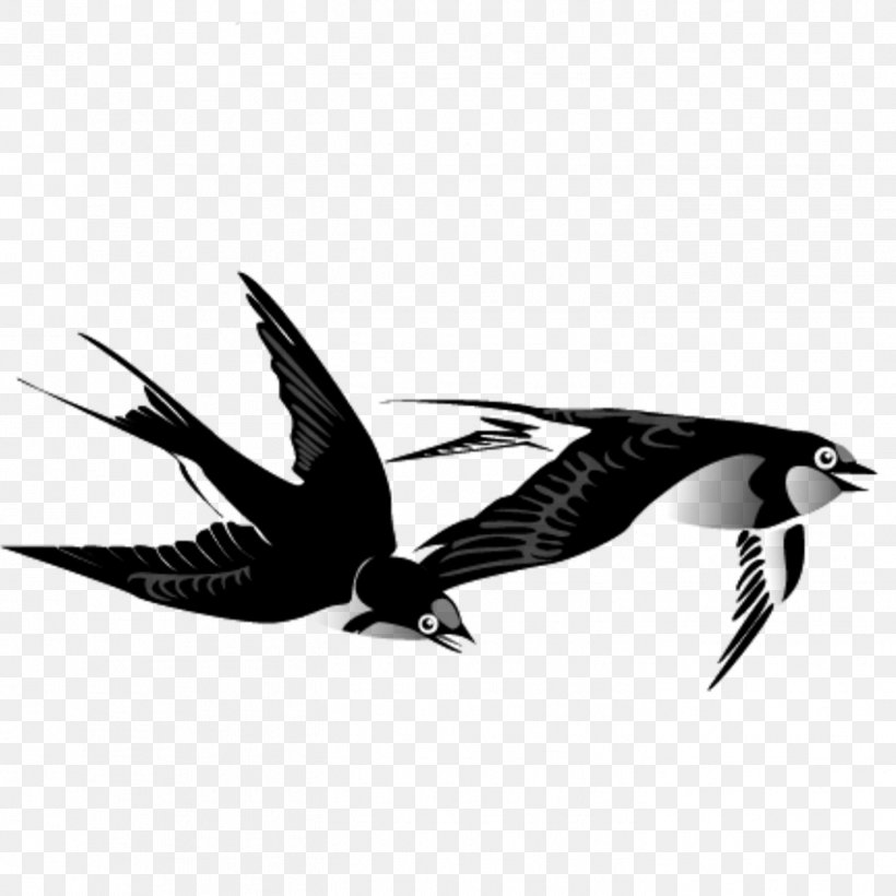 Swallow Bird Ink Wash Painting Chinese Painting, PNG, 1417x1417px, Swallow, Beak, Bird, Black And White, Calligraphy Download Free