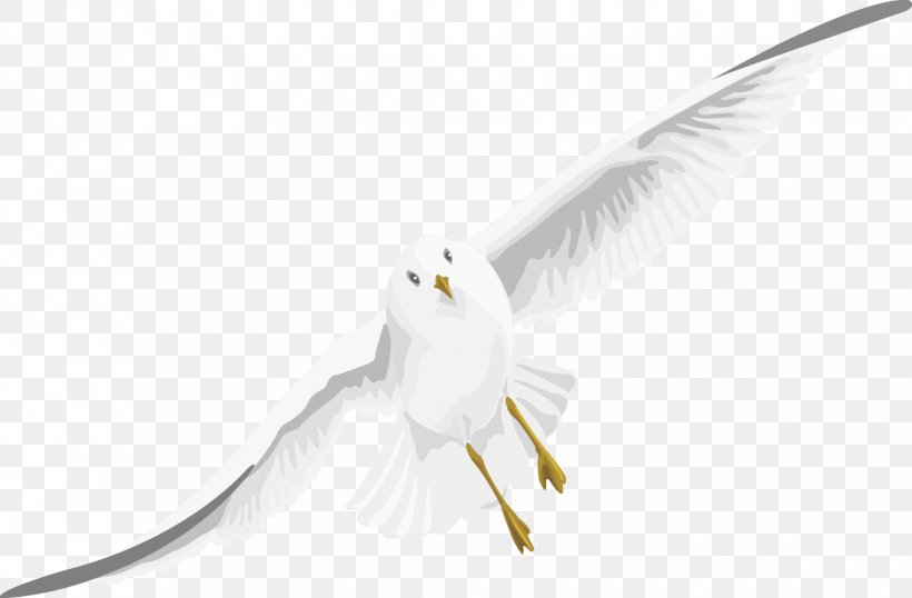 Beak Bird Of Prey Feather Wing, PNG, 1760x1156px, Beak, Bird, Bird Of Prey, Character, Feather Download Free