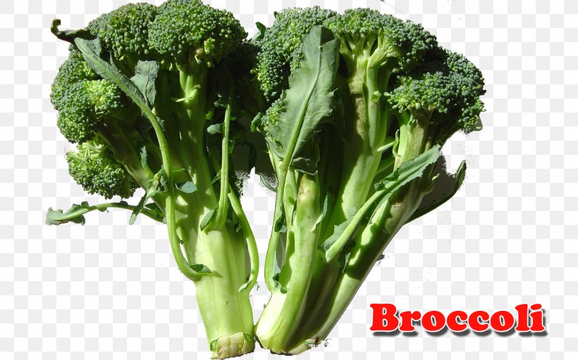Broccoli Dairy Products Milk Food Calcium, PNG, 1920x1200px, Broccoli, Bone, Calcium, Calcium Fluoride, Chard Download Free