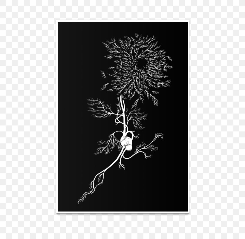 Chrysanthemum Wisgoon TeePublic T-shirt Visual Arts, PNG, 800x800px, Chrysanthemum, Artist, Arts, Black, Black And White Download Free