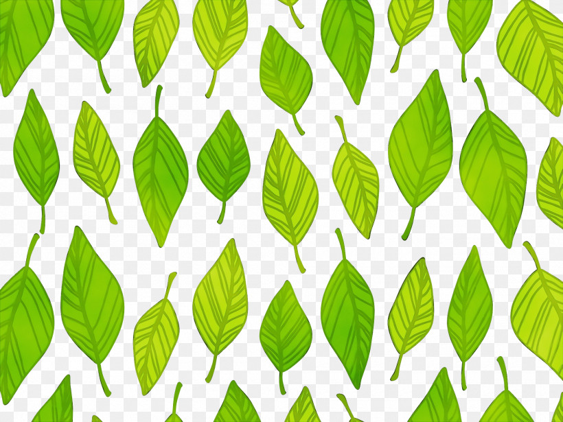 Leaf Green Pattern Plant Tree, PNG, 1920x1440px, Spring, Flower, Green, Leaf, Line Download Free