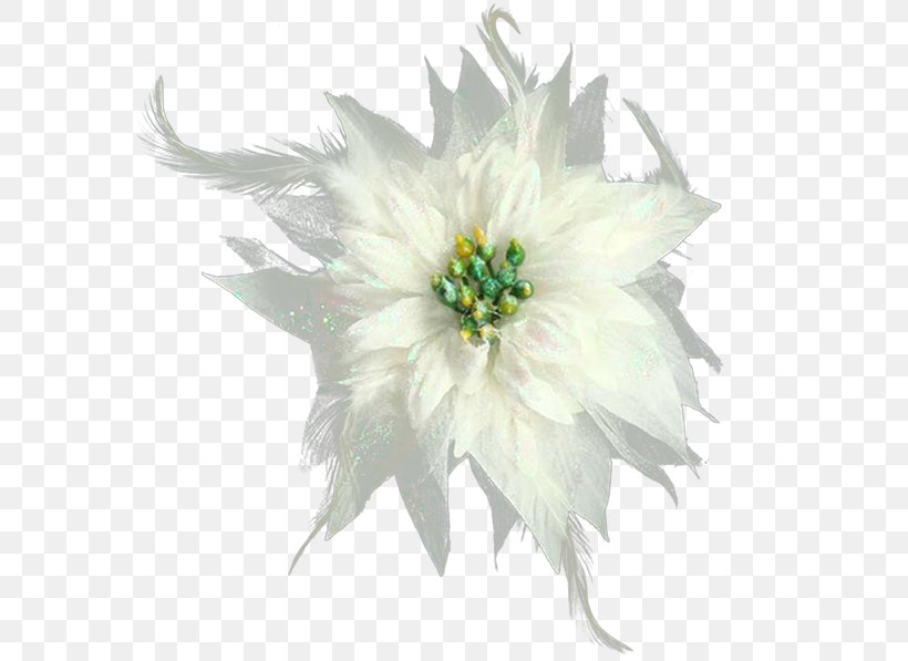 Marriage Flower, PNG, 600x597px, Marriage, Chrysanthemum, Chrysanths, Cut Flowers, Feather Download Free