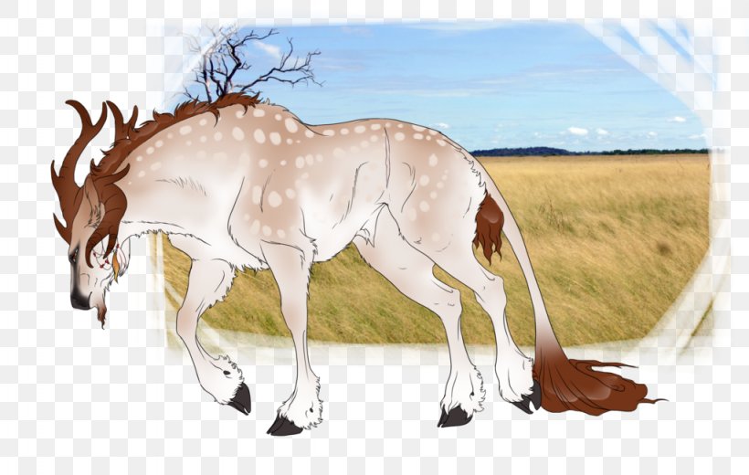 Mustang Foal Mare Deer Springbok, PNG, 1024x650px, Mustang, Antelope, Deer, Fauna, Foal Download Free