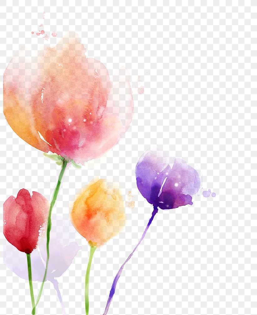 South Korea Watercolor Painting Flower, PNG, 800x1003px, South Korea, Art, Blossom, Floral Design, Flower Download Free