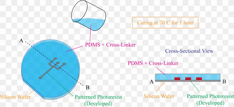 Electrophoresis N,N'-Methylenebisacrylamide Proteomics Cross-link, PNG, 3151x1448px, Electrophoresis, Acrylamide, Area, Brand, Chemical Bond Download Free