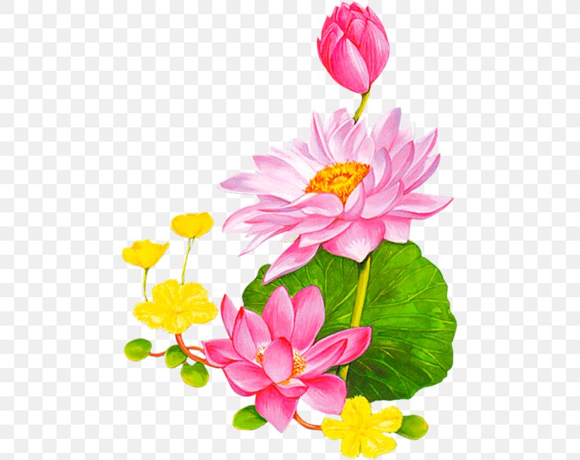 Flower Nelumbo Nucifera Animation Lotus 43 Clip Art, PNG, 477x650px, Flower, Animation, Annual Plant, Aquatic Plant, Artificial Flower Download Free