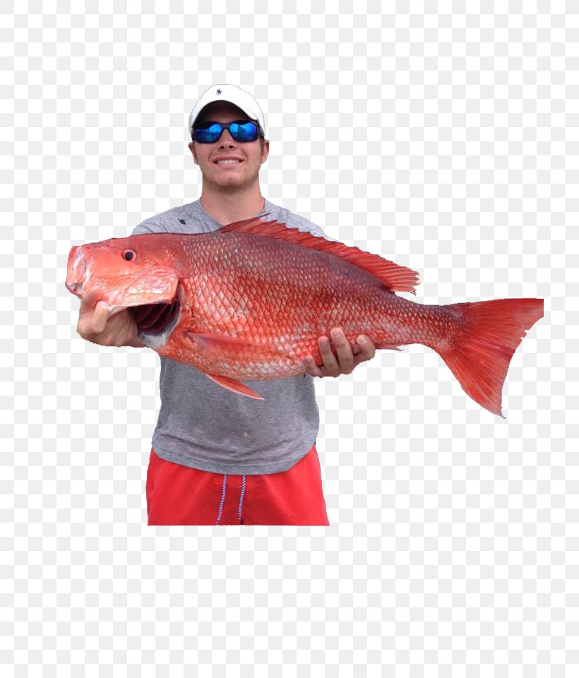 Recreational Boat Fishing Northern Red Snapper Spearfishing, PNG, 720x960px, Recreational Boat Fishing, Boat, Boating, Fish, Fishing Download Free