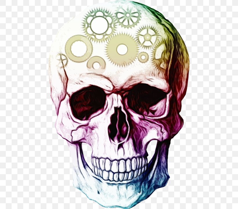 Day Of The Dead Skull, PNG, 540x720px, Watercolor, Bone, Bone China, Breathe, Day Of The Dead Download Free