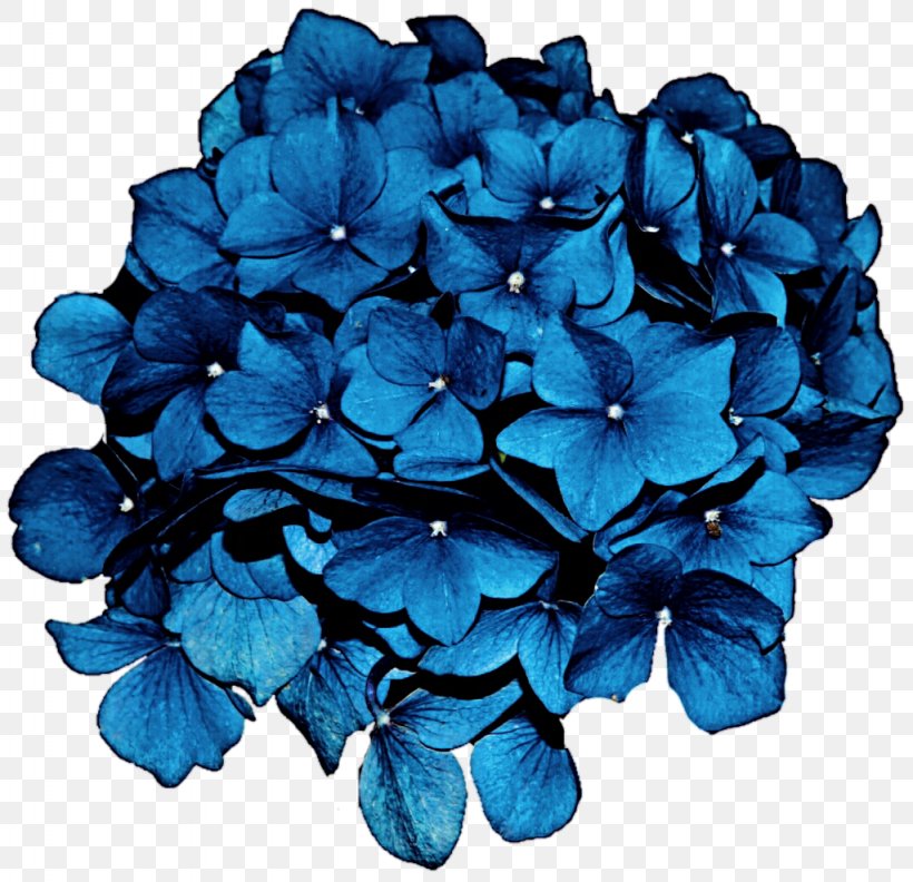 Hydrangea Flower Blue Clip Art, PNG, 1024x990px, Hydrangea, Blue, Cobalt Blue, Cornales, Cut Flowers Download Free
