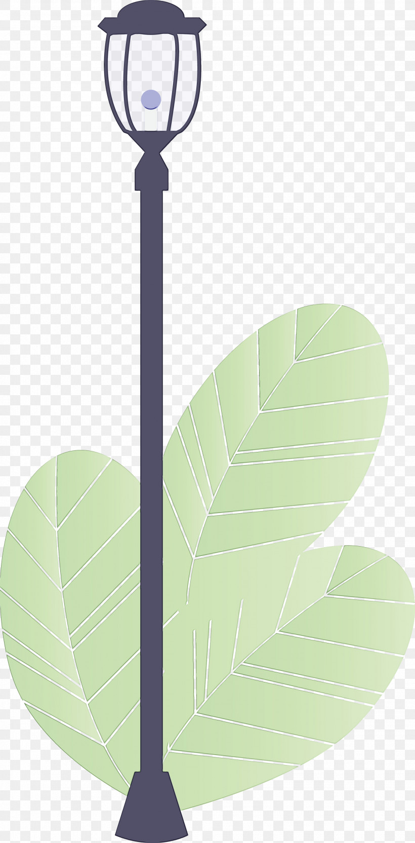 Leaf Green Line Plant Tree, PNG, 1969x3998px, Street Light, Flower, Green, Leaf, Line Download Free