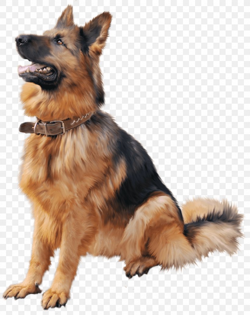 Old German Shepherd Dog Rottweiler Puppy Dobermann, PNG, 1300x1639px, German Shepherd, Beagle, Carnivoran, Companion Dog, Dalmatian Dog Download Free