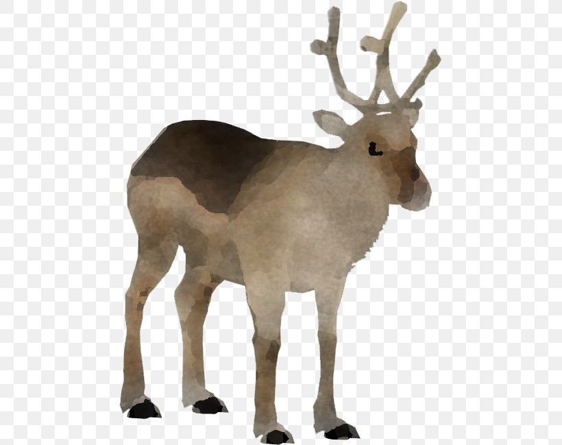 Reindeer, PNG, 649x649px, Reindeer, Animal Figure, Antelope, Antler, Deer Download Free