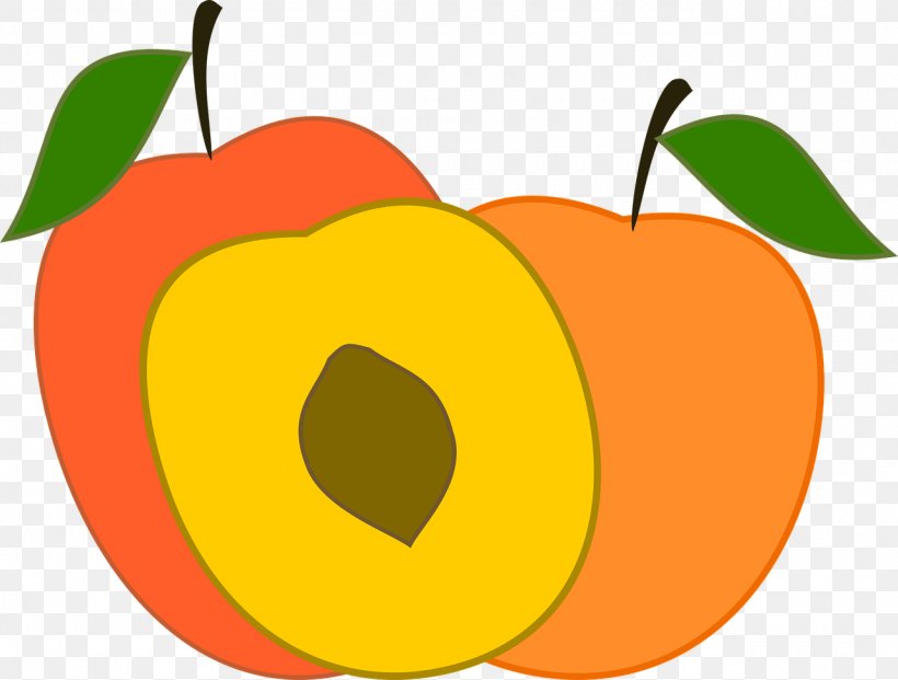 Food Fruit Peach Clip Art, PNG, 1280x970px, Food, Apple, Auglis, Diet Food, Fruit Download Free