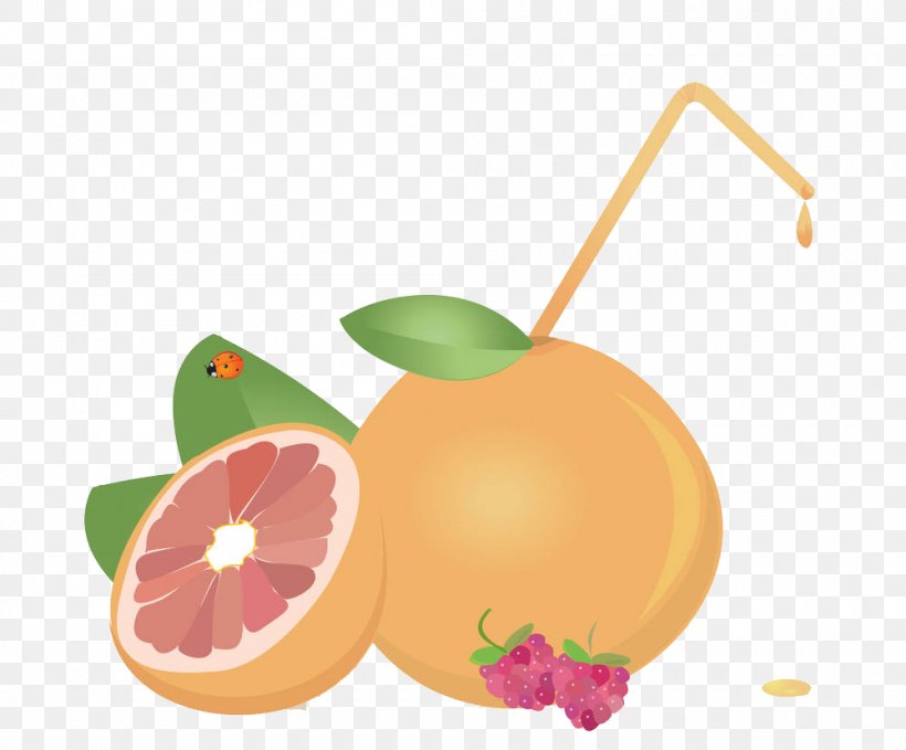Juice Grapefruit Euclidean Vector, PNG, 1000x829px, Juice, Apple, Citric Acid, Citrus, Diet Food Download Free