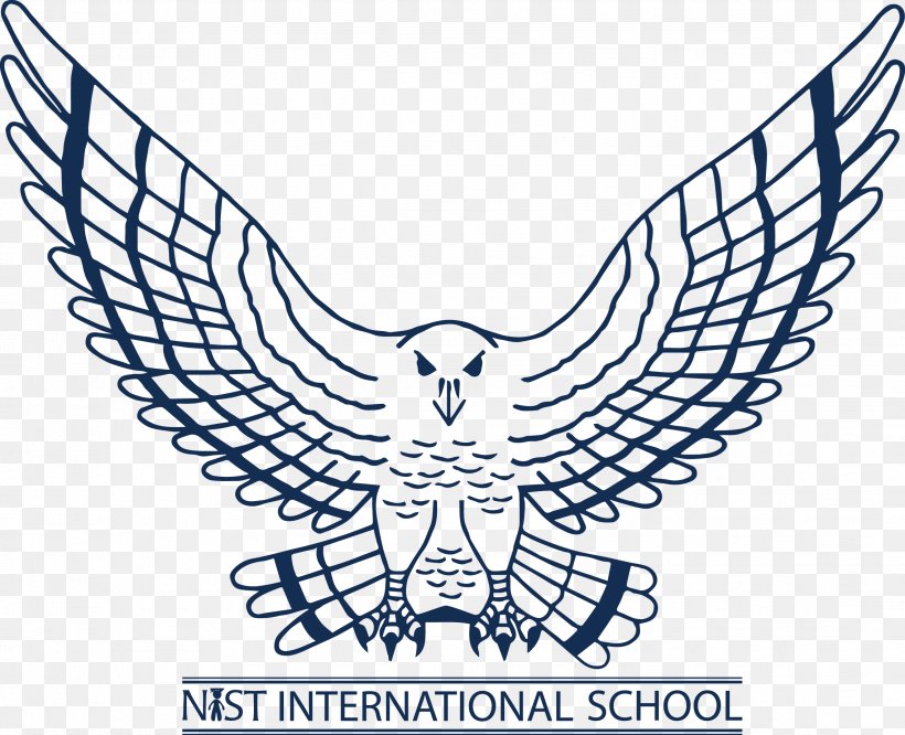 NIST International School Atlanta Falcons Sport Logo, PNG, 2271x1847px, Nist International School, Area, Atlanta Falcons, Ball, Basketball Download Free