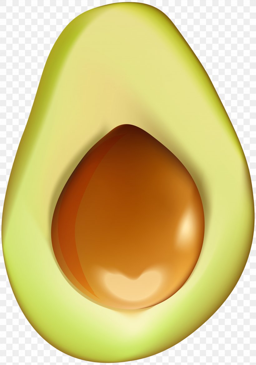 Avocado Clip Art, PNG, 5614x8000px, Avocado, Art Museum, Color, Food, Fruit Download Free