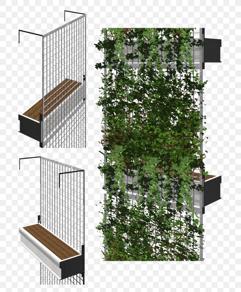 Facade Green Wall Architecture Garden, PNG, 768x994px, Facade, Architect, Architecture, Building, Facade Pattern Download Free