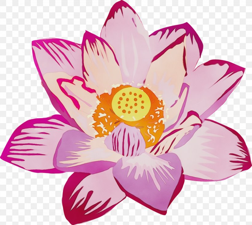Floral Design, PNG, 1148x1024px, Watercolor, Aquatic Plant, Cut Flowers, Dahlia, Floral Design Download Free