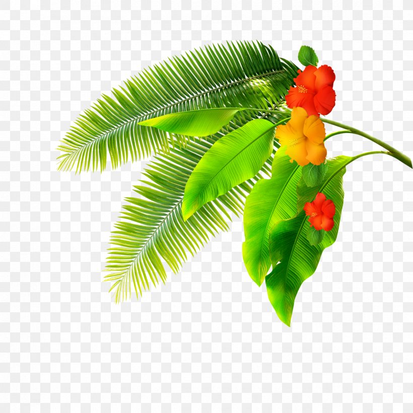 Leaf Computer File, PNG, 1276x1276px, Leaf, Banana, Banana Leaf, Branch, Flower Download Free