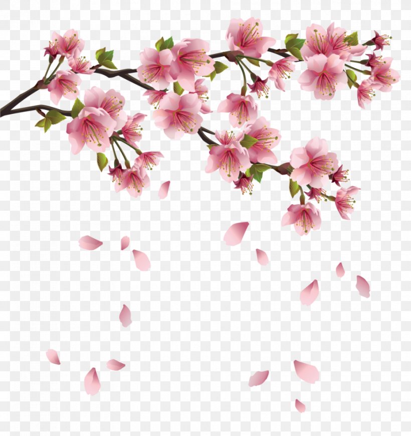 Petal Clip Art, PNG, 928x984px, Flower, Blossom, Branch, Cherry Blossom, Flora Download Free