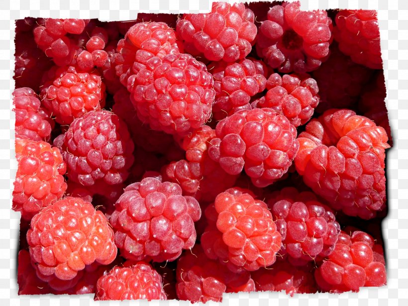 Wineberry Loganberry Boysenberry Tayberry Raspberry, PNG, 1600x1200px, Loganberry, Berry, Blackberry, Boysenberry, Brambles Download Free
