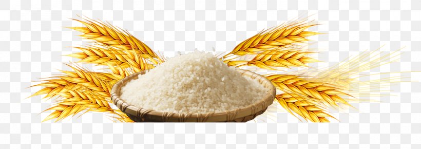 Common Wheat Flattened Rice Staple Food, PNG, 1523x539px, Common Wheat, Commodity, Data, Flattened Rice, Food Download Free