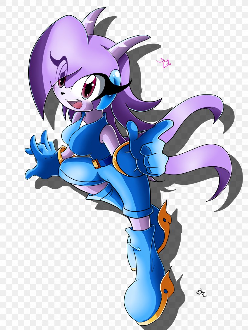 Freedom Planet Sash Sonic The Hedgehog Lilac Game, PNG, 2448x3264px, Watercolor, Cartoon, Flower, Frame, Heart Download Free
