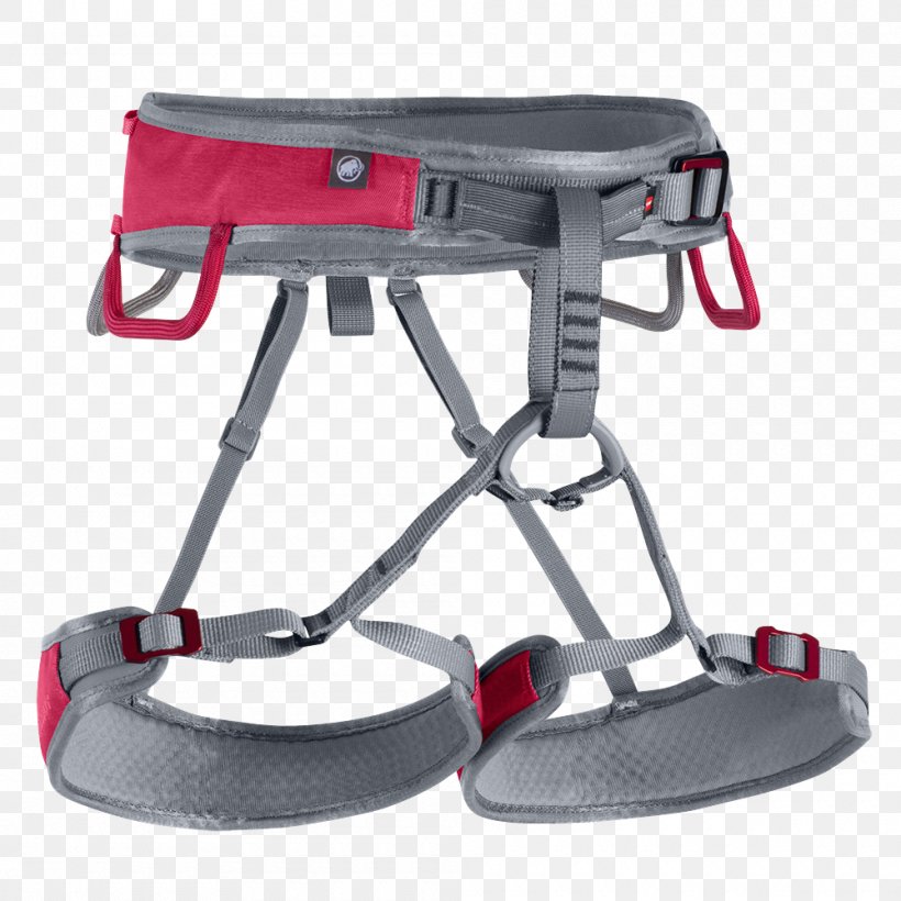 Mammut Sports Group Climbing Harnesses Rock-climbing Equipment Webbing, PNG, 1000x1000px, Mammut Sports Group, Belay Rappel Devices, Black Diamond Equipment, Camp, Carabiner Download Free