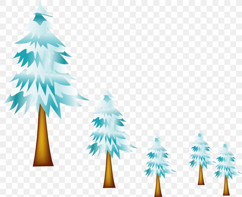 Fir Pine Spruce Hypothermia, PNG, 1436x1171px, Pine, Branch, Christmas Decoration, Christmas Ornament, Christmas Tree Download Free