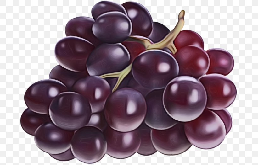 Grape Fruit Grapevine Family Food Seedless Fruit, PNG, 698x526px, Watercolor, Berry, European Plum, Food, Fruit Download Free