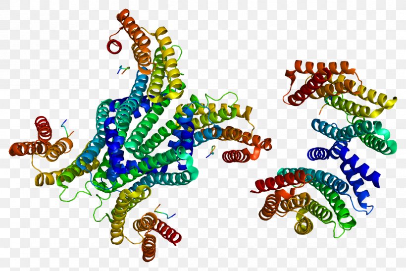 UBE3A 14-3-3 Protein Gene Cell-free Protein Synthesis, PNG, 1190x795px, Watercolor, Cartoon, Flower, Frame, Heart Download Free