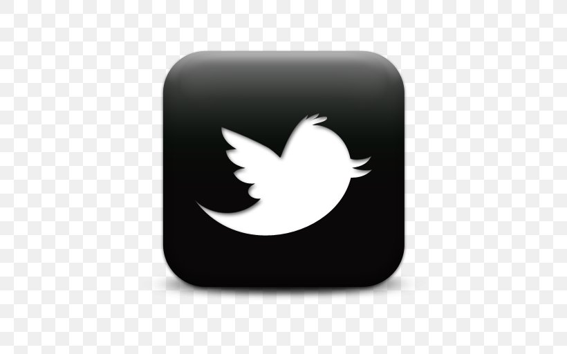 United States Social Media Google Tweetie Company, PNG, 512x512px, United States, Black And White, Chief Operating Officer, Company, Google Download Free