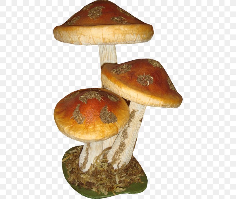 Mushroom Fungus Clip Art, PNG, 450x693px, Mushroom, Amanita, Common Mushroom, Edible Mushroom, Food Download Free