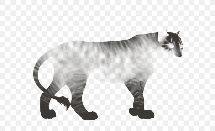 Tiger Whiskers Cat Lion Cougar, PNG, 640x500px, Tiger, Animal Figure, Big Cat, Big Cats, Black And White Download Free