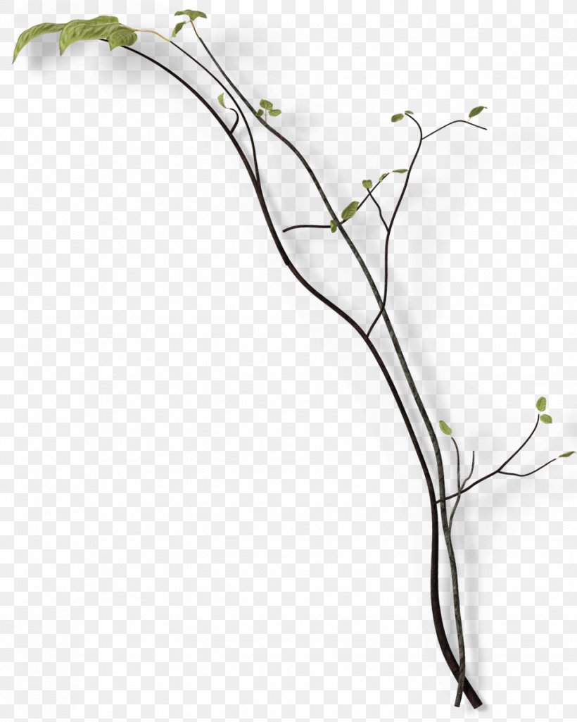 Twig Branch Leaf Green, PNG, 968x1211px, Twig, Branch, Green, Leaf, Maple Leaf Download Free