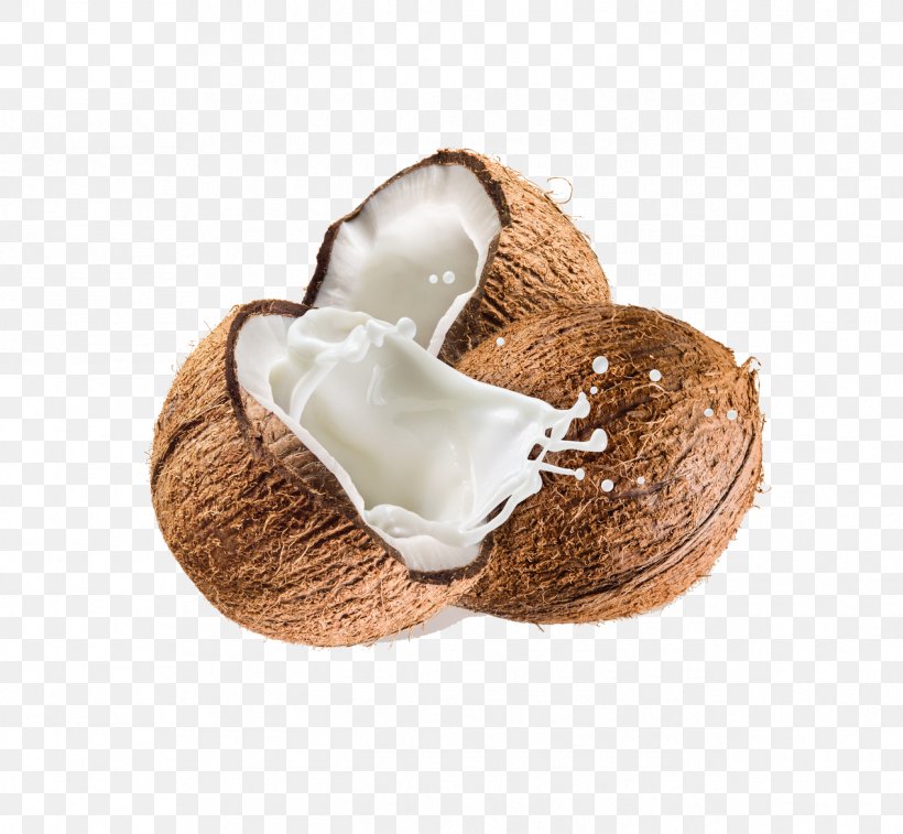 Coconut Milk Coconut Water Cream, PNG, 1269x1173px, Juice, Coconut, Coconut Cream, Coconut Milk, Coconut Milk Powder Download Free