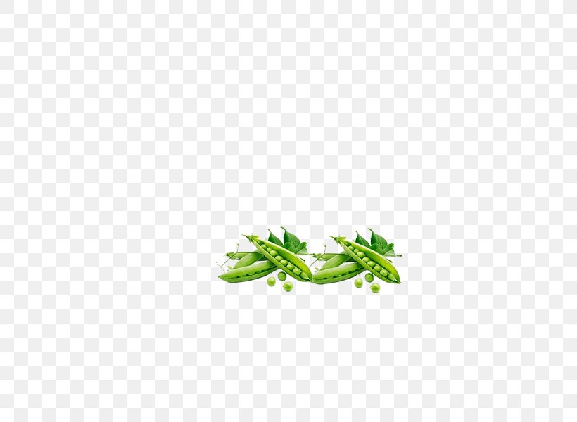 Organic Food Green Vegetable Pea, PNG, 600x600px, Organic Food, Area, Food, Grass, Green Download Free