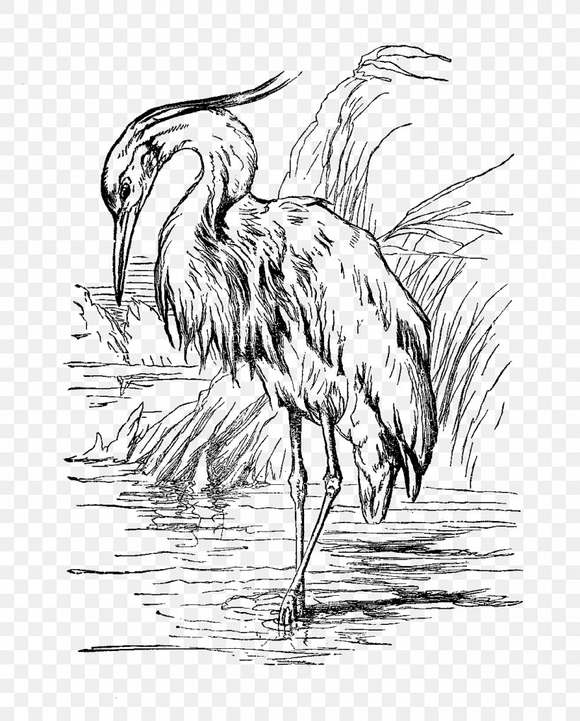Bird Great Blue Heron Drawing Egret, PNG, 1133x1410px, Bird, Animal, Beak, Black And White, Ciconiiformes Download Free