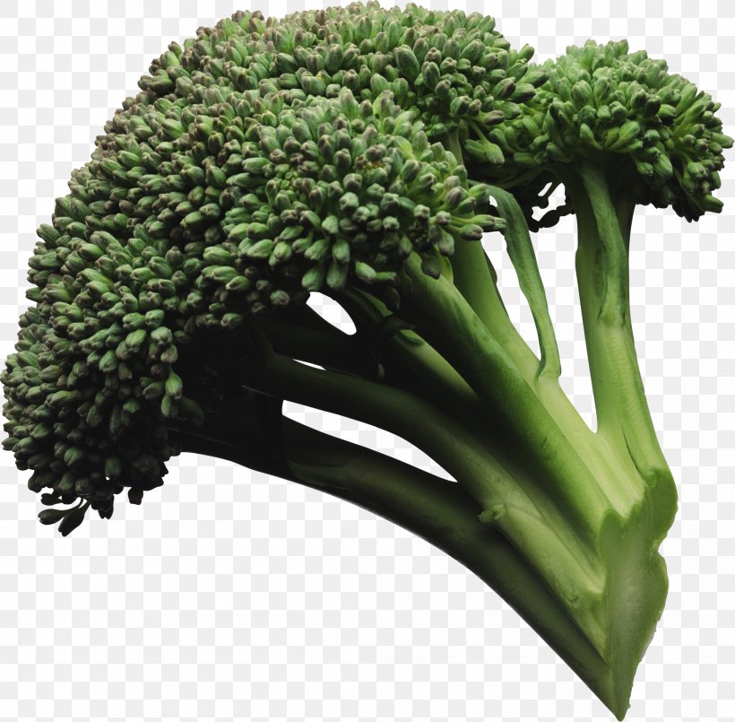 Broccoli Vegetable, PNG, 2093x2057px, Broccoli, Bell Pepper, Brassica Oleracea, Broccoli Extract, Broccoli Slaw Download Free