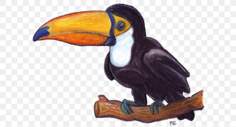 Toucan Drawing Watercolor Painting Pencil Sketch, PNG, 600x441px, Toucan, Art, Beak, Bird, Cartoon Download Free