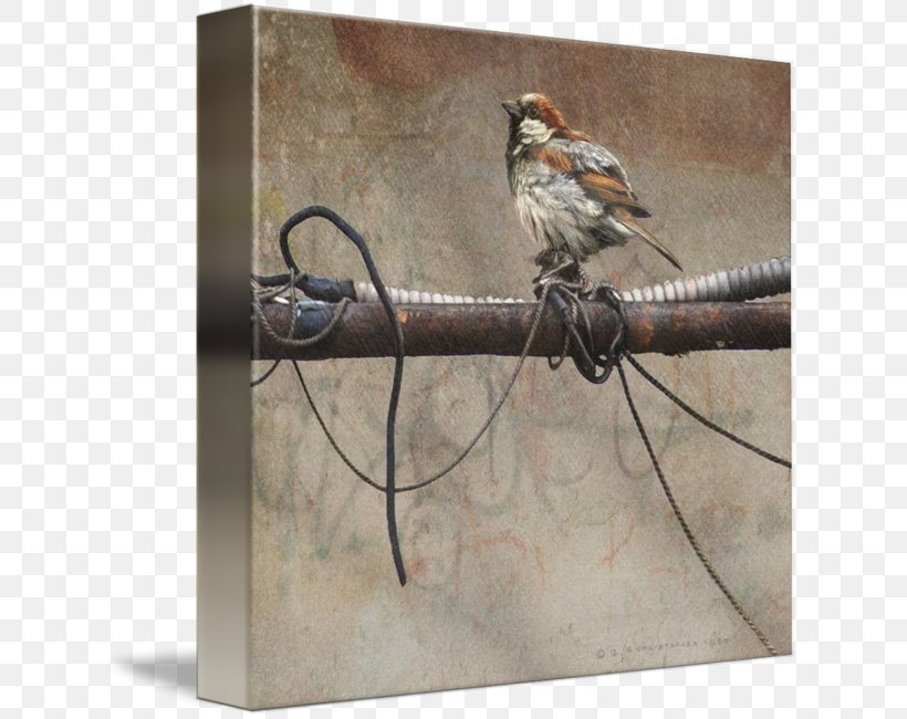 House Sparrow Bird Wire Art, PNG, 629x650px, House Sparrow, Art, Bird, Circuit Diagram, Electrical Engineering Download Free